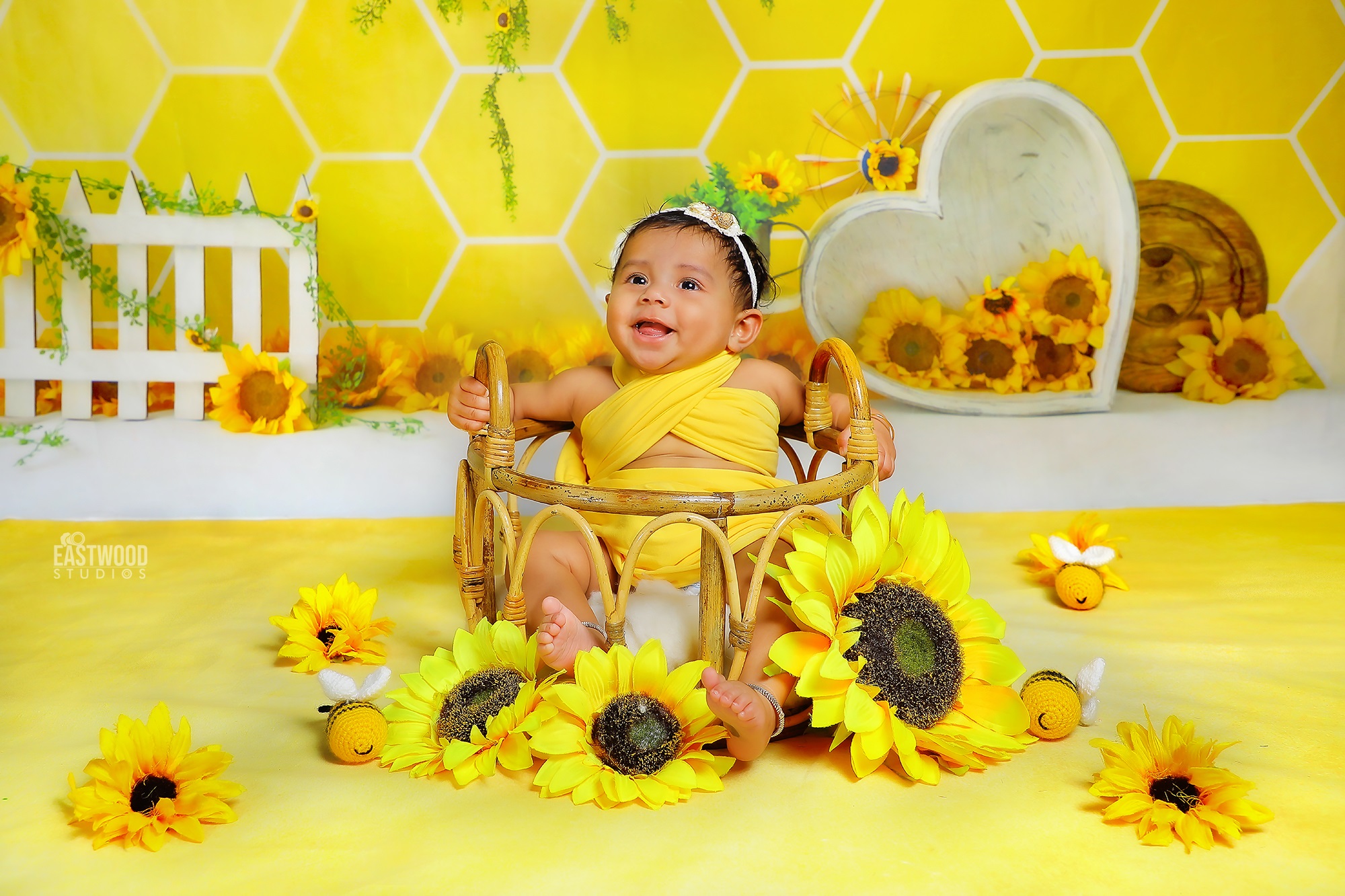 6 Month Baby photoshoot props